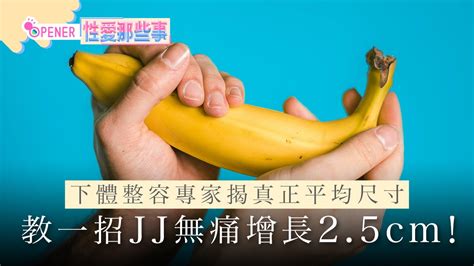 男生的下體|人類陰莖